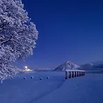 Arctic Oasis Haven