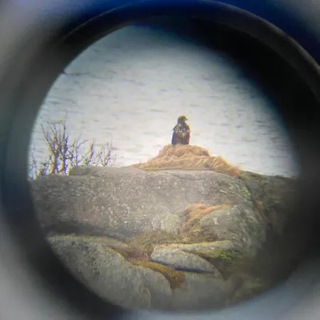 Arctic Oasis Haven Pettvik