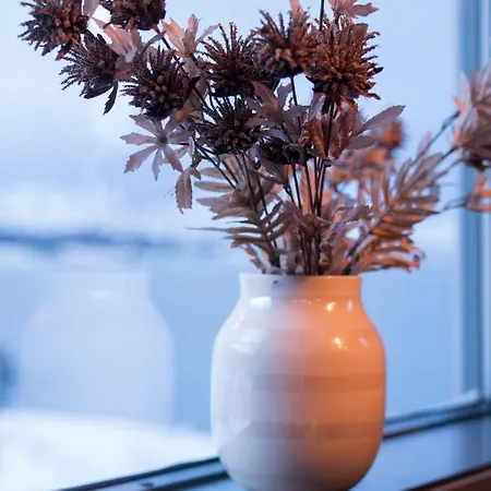 Arctic Oasis Haven Casa de Férias *