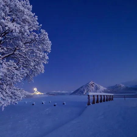 Arctic Oasis Haven