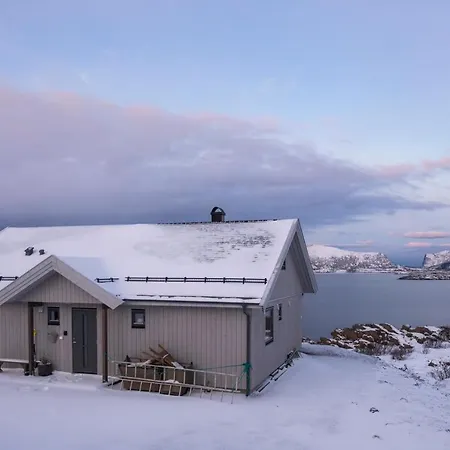 Arctic Oasis Haven